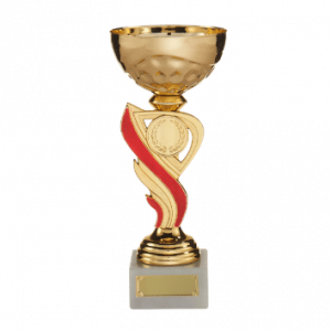 Rosace Bleu blanc rouge