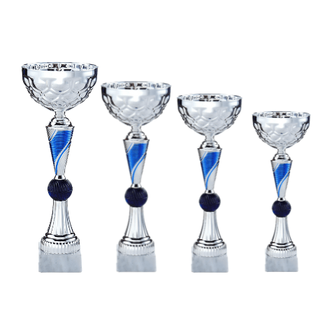 C613 Coupe Argent et bleu C613