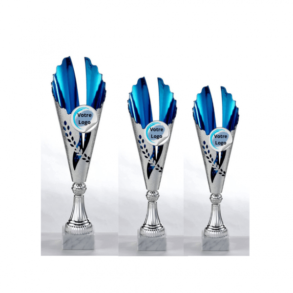 Coupe Argent et bleu C610