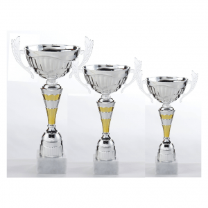 Coupe argent et doré C625