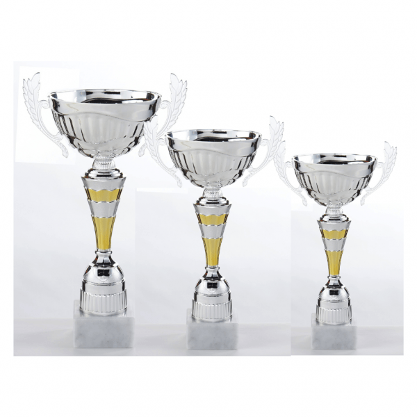Coupe argent et doré C625