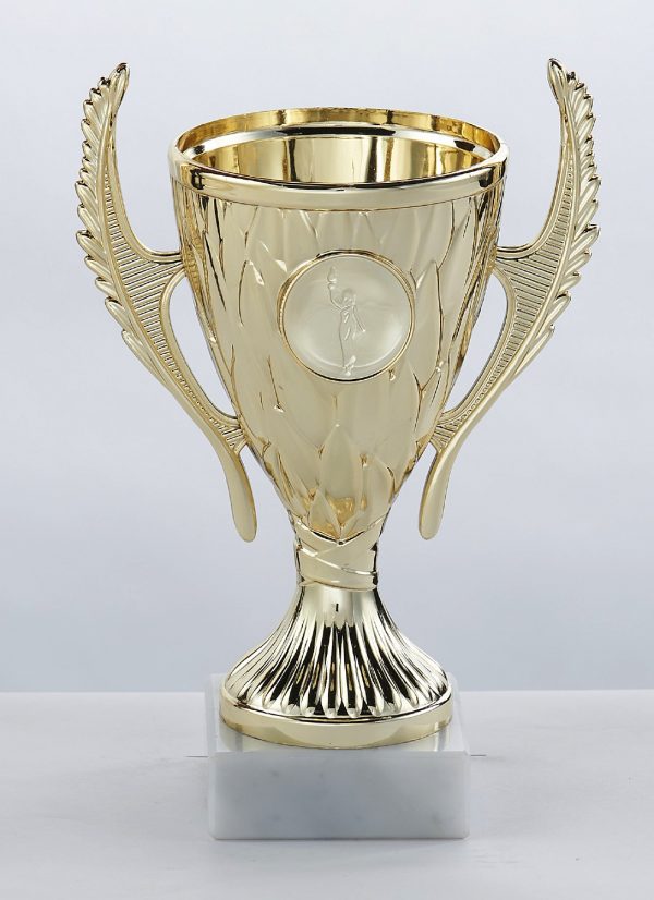 c600-coupe-abs-france-recompenses Coupe ABS doré