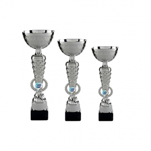 Coupe argent C746