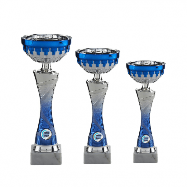 Coupe argent et bleu C744