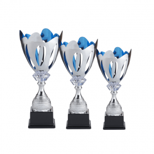 Coupe argent et bleu C723
